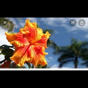 Meet your Posher, Noemi